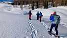 Fünf Frauen unterwegs in Österreichs größtem Almgebiet | Bild: BR; Mona Karama
