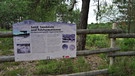 Wandern im Tennenloher Forst: Schilder im Tennenloher Forst erklären die besondere Umgebung | Bild: BR/Sabine Göb