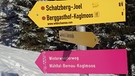 Rasante Schlittenfahrt am Schatzberg | Bild: BR; Ulrike Nikola