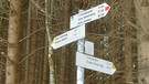 Winterwanderung zu den Burgruinen Eisenberg und Hohenfreyberg | Bild: BR; Andrea Zinnecker