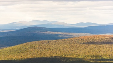 Ylläas: Tunturi-Landschaft im Sommer | Bild: Visit Ylläs. https://www.yllas.fi/en
