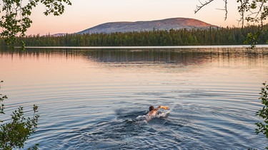 Ylläas: Schwimmen bei Mitternachtssonne | Bild: Visit Ylläs. https://www.yllas.fi/en