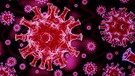 Eine Nahaufnahme des Coronavirus. | Bild: Colourbox