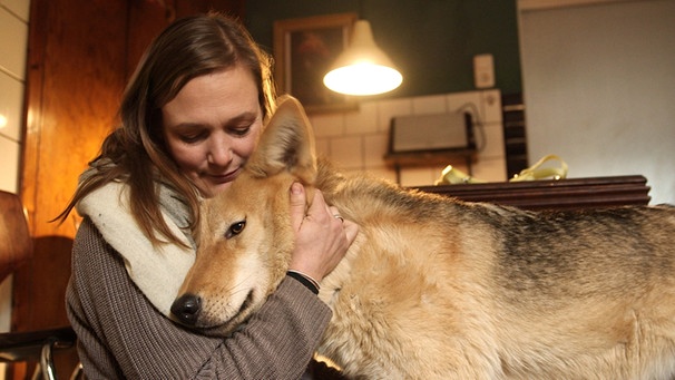 Anna-Caroline Hein macht sich Sorgen um Wolfshunde. | Bild: BR/Ralph Zipperlen