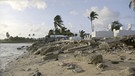 Steigendes Wasser hat bereits Gräber ins Meer gewaschen, Friedhof in Majuro, Marschall Inseln. 05.01.2014.  | Bild: BR/John Webster