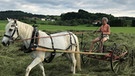 Rosemarie Wegemann beim Wenden des frischen Heus - auch dafür nutzt sie keine Maschinen, sonderen eines ihrer Pferde. | Bild: BR/Arndt Wittenberg