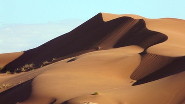 Die Sanddünen der Namib erreichen eine Höhe von über 200 Metern. | Bild: BR/NDR Naturfilm/Frieder Salm