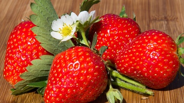 Erdbeeren | Bild: Picture alliance/dpa