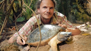 Der Grazer Biologe und Schildkröten-Experte Peter Praschag ist der "Turtle Hero". | Bild: BR/dreiD.at/ORF/Lukas Kogler