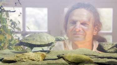 Der Grazer Biologe Peter Praschag ist der "Turtle Hero", einer der angesehensten Schildkröten-Experten weltweit. | Bild: BR/dreiD.at/ORF/Lukas Kogler