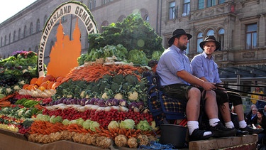 Wagen mit drapiertem Gemüse beim Fürther Erntedankfestzug (2015). | Bild: BR/Henry Lai