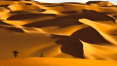 Das Sandmeer von Libyen erschreckt sich über 1.000000 Quadratkilometer. Hier zu überleben, schaffen nur die Wenigsten. Manchmal erzeugen Milliarden rutschender Sandkörner ein gewaltiges Dröhnen - die Dünen "singen". | Bild: BR/WDR/Ian Liewellyn