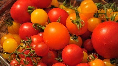 Irina Zacharias liebt Tomaten. Über 900 alte Sorten kultiviert sie in ihrer Gärtnerei in Maxhütte-Haidhof. | Bild: BR