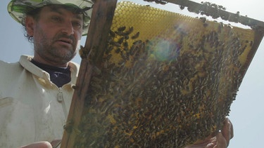 Wilhelm Tartler sorgt sich um seine Bienen. | Bild: BR