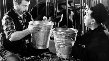 Manchmal müssen Don Camillo (Fernandel, rechts) und der grantige Peppone (Gino Cervi) eben doch zusammenarbeiten: zum Beispiel im Kuhstall. | Bild: ARD Degeto/BR