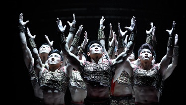 Gleichgewicht ist auch von der Artistiktruppe aus Shanghai bei ihrer Äquilibristik-Nummer gefragt. Die 10 Artisten konstruieren spektakuläre Menschenpyramiden. | Bild: BR/Ed Wright Images