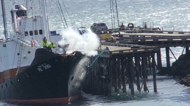 Testschuss auf der „Hvalur 9“ am Pier der Walfangstation, überwacht von Firmenchef Kristjan Loftsson am Pier. | Bild: BR
