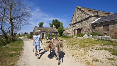 Frau läuft mit Esel | Bild: Picture alliance/dpa
