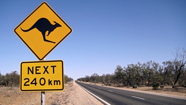50 Millionen Kängurus soll es in Australien geben. | Bild: BR/Christ Media/NDR