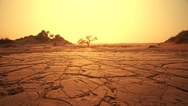 Trockener Boden in der Namib Wüste im Südwesten Afrikas | Bild: stock.adobe.com/Galyna Andrushko