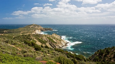 Sardinien gilt zu Recht als echtes Naturjuwel: Hier gibt es an der Küste noch weite, unverbaute Abschnitte. | Bild: BR/doclights/NDR Naturfilm/Gabriele Mastrilli
