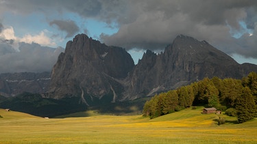 Die Seiser Alm in Südtirol ist die größte Hochalm Europas, im Sommer bedeckt von üppigen Blütenteppichen. | Bild: BR/doclights/NDR Naturfilm/Hans-Peter Kuttler