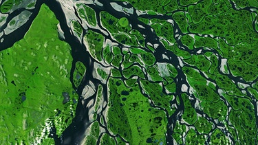 Flussdelta (Lena) aus dem All: Mit neuester Satelliten Technik zeigt diese Reihe unsere Erde, wie wir sie noch nie zuvor gesehen haben.
| Bild: BBC