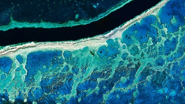 Korallenriff aus dem All. Mit neuester Satelliten Technik zeigt diese Reihe unsere Erde, wie wir sie noch nie zuvor gesehen haben. | Bild: BBC/BR/NDR