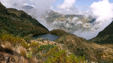 Der kolumbianische Nationalpark "Los Nevados" liegt in der Zentralkordillere der Anden und umfasst 380 km2. | Bild: BR/Cosmos Factory/NDR/doclights