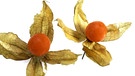 2 Früchte in ihrer Hülle | Bild: Picture alliance/dpa