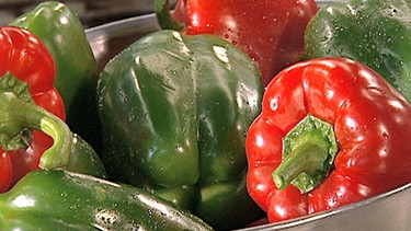 Gurken und Paprika anbauen und ernten. Passend zu diesem Thema das Rezept "Gurken-Paprika-Gemüse mit Kalbsfilet". | Bild: BR/BR