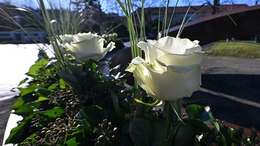 Zwei weiße Rosen | Bild: Picture alliance//dpa