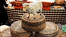 Symbolbild: Käse von Schafen | Bild: picture-alliance/dpa