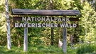 Neuschönau: "Nationalpark Bayerischer Wald" steht auf einem Schild im Nationalpark. | Bild: picture alliance/Armin Weigel/dpa