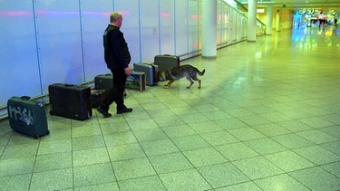 Hundetraining im Münchner Flughafen | Bild: BR