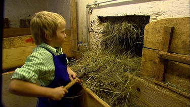 Ein Junge arbeitet in einem Stall. | Bild: BR
