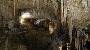 Adelsberger Grotte | Bild: BR
