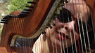 Zvezdana Novaković an der Harfe | Bild: BR