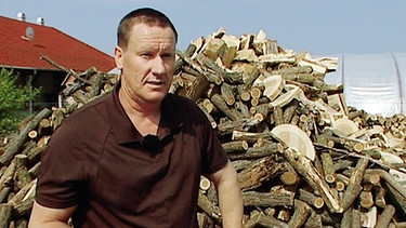 Zoltan Bozso vor einem Haufen geschlagenen Holzes | Bild: BR