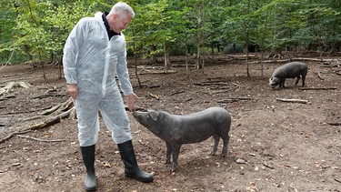 Alexander Herrmann im Wald bei Oberlaimbach mit Cornwallschweinen. | Bild: BR / Jürgen Endriß