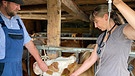 Tierärztin Regina Kotz versorgt eine Kuh. | Bild: BR/Tangram Film Internatinal
