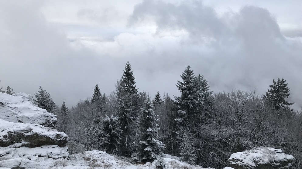 Winter im Bayerischen Wald - Winter im Zellertal: Auf dem Mühlriegel, einem von zwölf Tausendern im Zellertal. | Bild: BR
