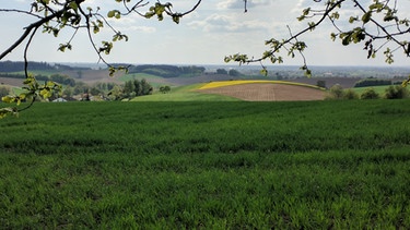 Holzland – weites Land, schönes Land – im Nordosten des Landkreises Erding. | Bild: BR
