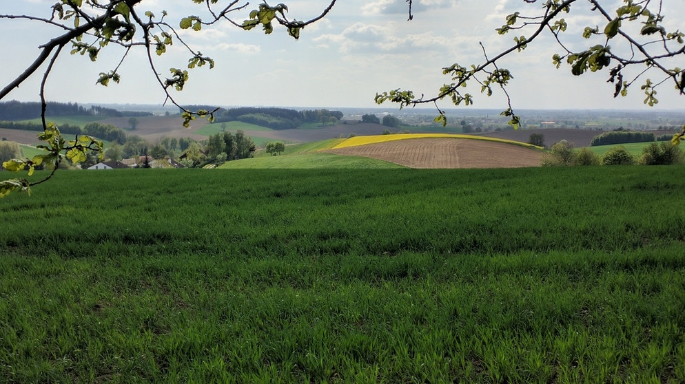 Holzland – weites Land, schönes Land – im Nordosten des Landkreises Erding. | Bild: BR