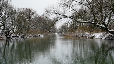 Donau im Winter | Bild: BR