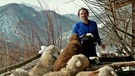Alexander Huber füttert seine Schafe | Bild: BR