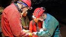 Gruppe von Höhlenforschern in der Hirlatzhöhle | Bild: BR