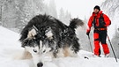 Patrick Koller mit seinem Husky auf Skitour | Bild: BR/Michael Düchs