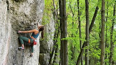 Sofie Paulus beim Klettern | Bild: BR/Michael Düchs