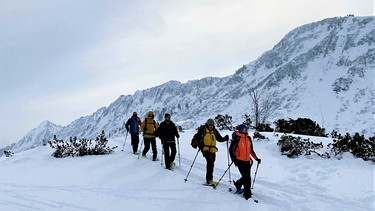 Eine Gruppe Schneeschuh-Wanderern in verschneiter Berglandschaft | Bild: BR/Kathrin Denk